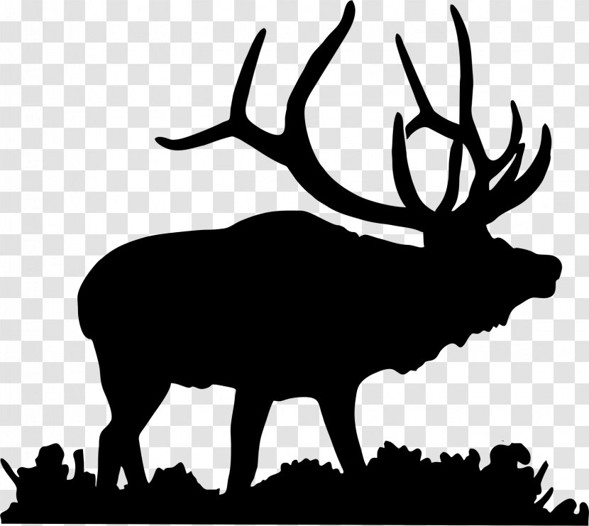Elk Deer Moose Clip Art - Fauna - Antler Transparent PNG