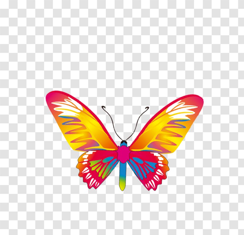 Monarch Butterfly Clip Art - Software Transparent PNG