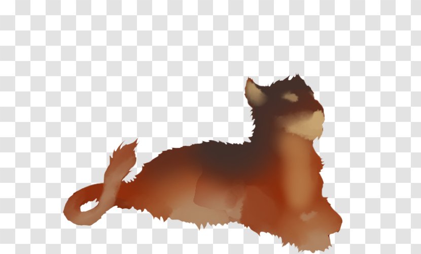 Whiskers Kitten Old English Sheepdog Dog Breed Lion - Lioness Transparent PNG