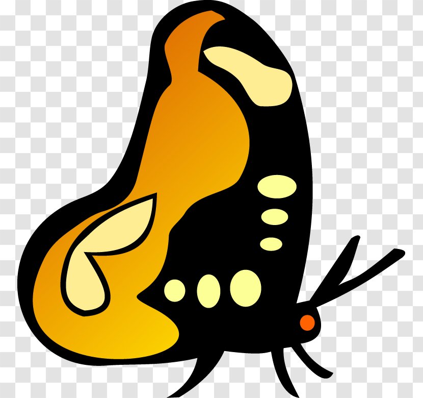 Butterfly Insect - Illustrator Transparent PNG