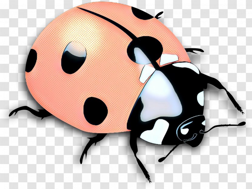 Ladybug - Animated Cartoon - Fictional Character Beetle Transparent PNG