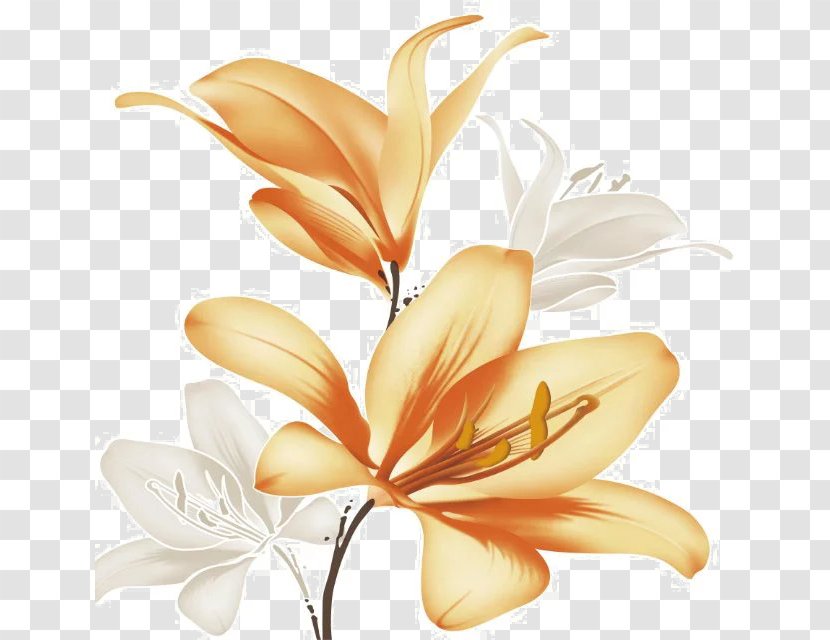 Lilium White - Red - Hand-painted Lily Transparent PNG