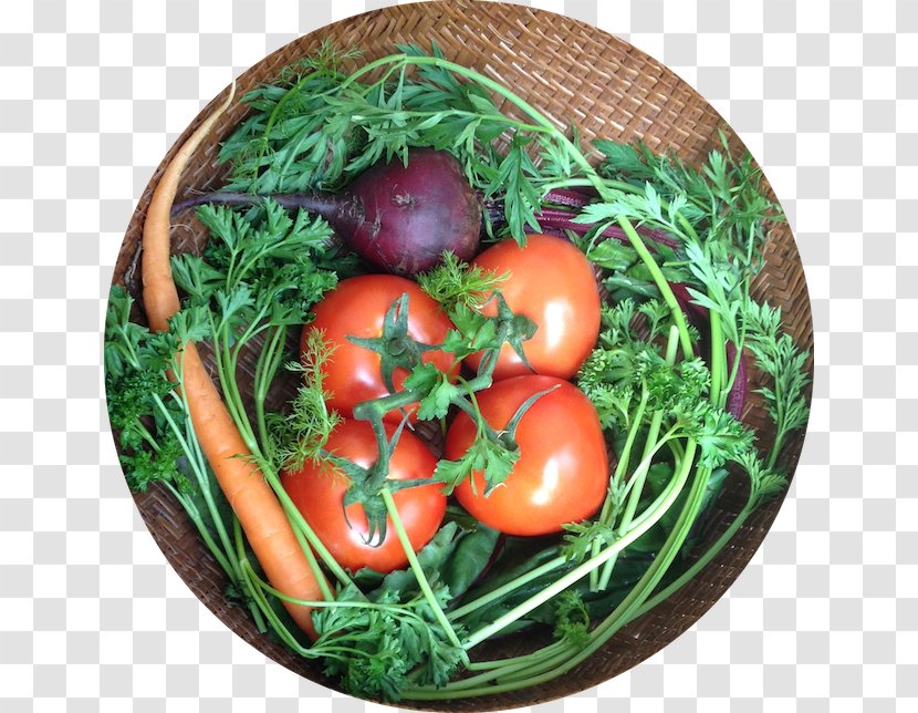 Bush Tomato Vegetarian Cuisine Food Leaf Vegetable - Diet Transparent PNG