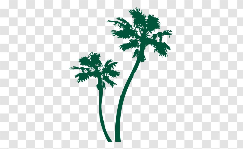 Arecaceae Tree - Drawing - Watercolor Leaves Transparent PNG