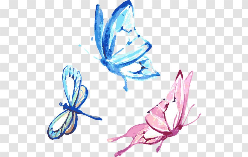 Watercolor Painting Graphic Design - Wing - Drawing Butterfly Transparent PNG