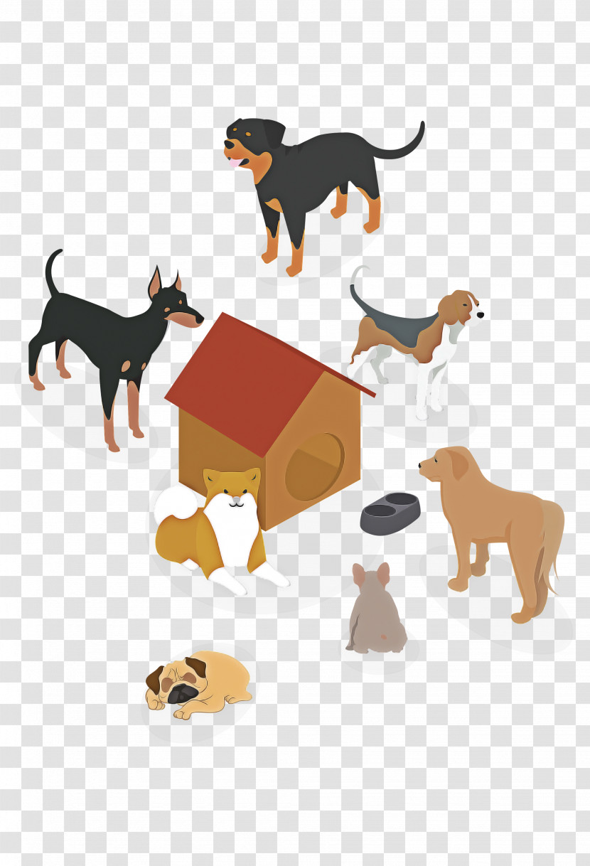 Dog Animal Figure Tail Transylvanian Hound Companion Dog Transparent PNG