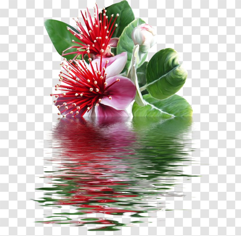 Flowering Plant Floral Design Petal - Watermark - Flower Transparent PNG