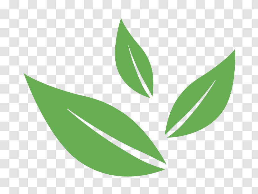 Logo Leaf Font Product Design - Green - Thyroid Map Transparent PNG