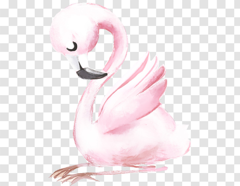 Flamingo Transparent PNG