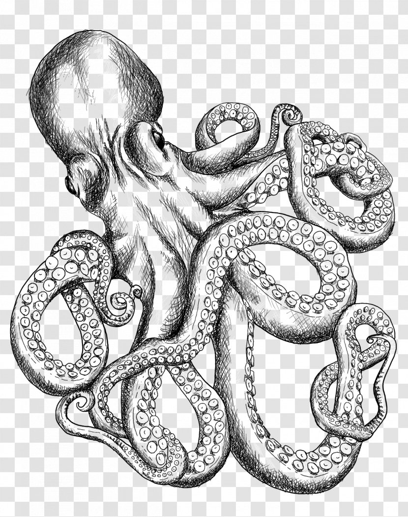 Octopus T-shirt Line Art Drawing Sketch - Invertebrate Transparent PNG
