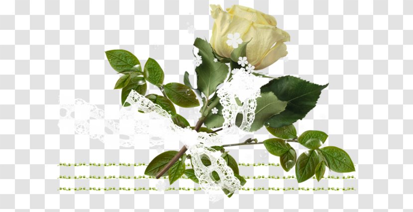 Garden Roses Cut Flowers Bouches-du-Rhône Branching - Rose Family Transparent PNG