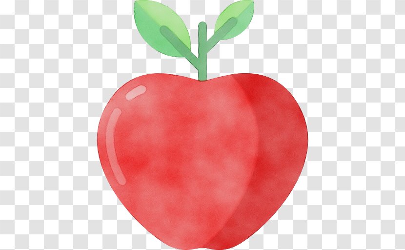 Fruit Leaf Plant Apple Seedless - Tree - Heart Transparent PNG