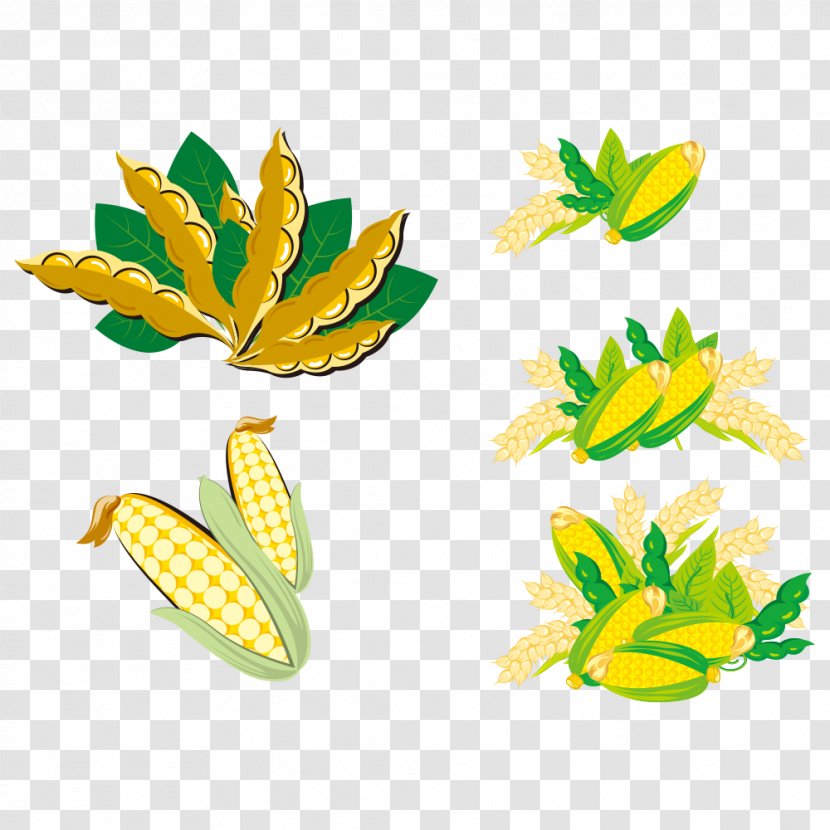 Soybean Clip Art - Tree - Corn Transparent PNG
