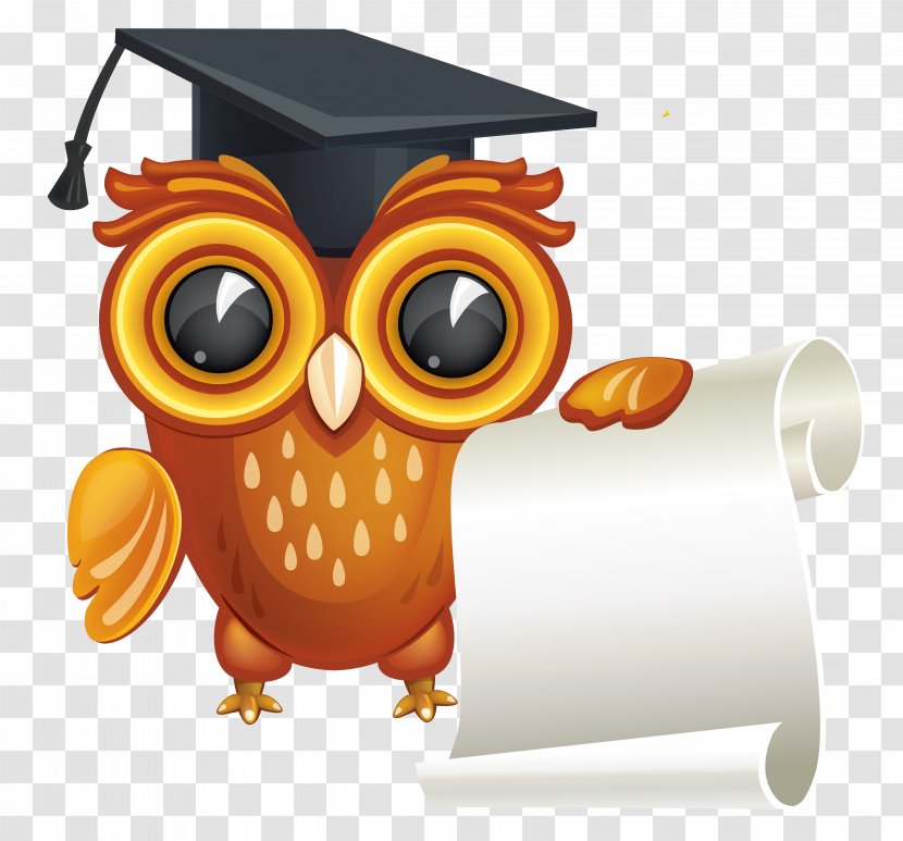 Diploma Graduation Ceremony Clip Art - Bird - Owl With Clipart Image Transparent PNG