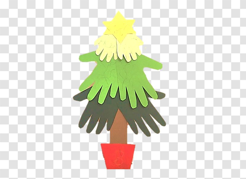 Christmas Tree Fir Ornament Day Flowering Plant - Flower - Watercolor Transparent PNG