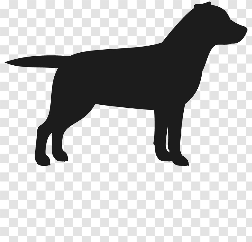Labrador Retriever Puppy Dog Breed Golden German Shepherd Transparent PNG