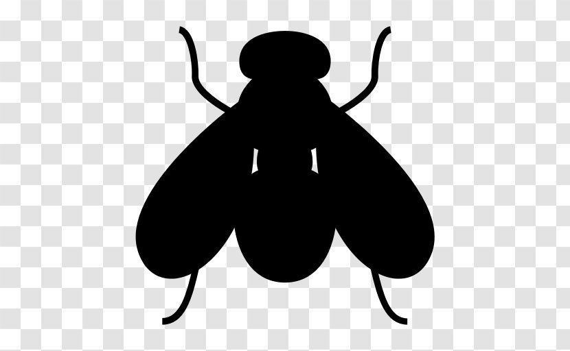 Insect Clip Art - Invertebrate - Bug Transparent PNG
