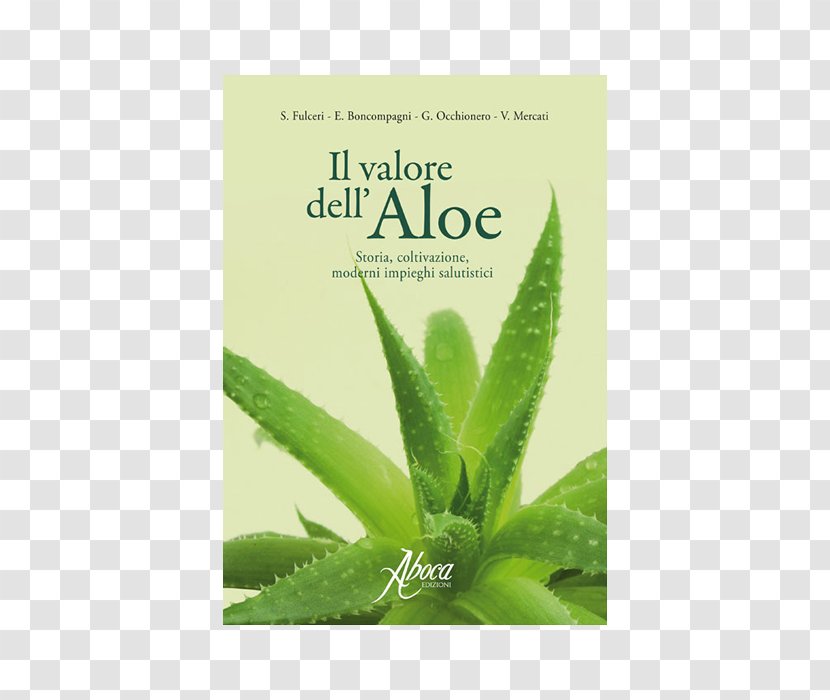 Aloe Vera Forever Living Products Phytotherapy Book - Argitaletxe Transparent PNG