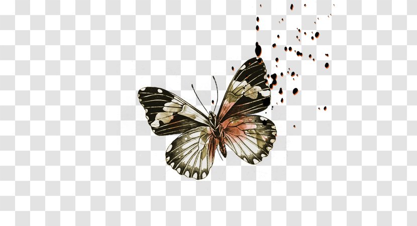 Butterfly Download - Lossless Compression Transparent PNG