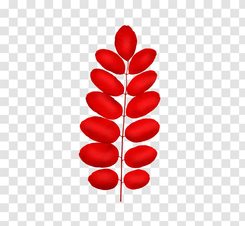 Clip Art Book Waterhyssop Stock Photography Royalty-free - Red - Norrland Transparent PNG