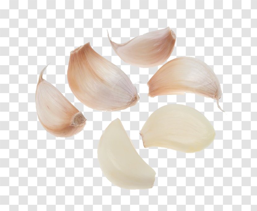 Solo Garlic Oil Of Clove Mincing Food - Minced Transparent PNG