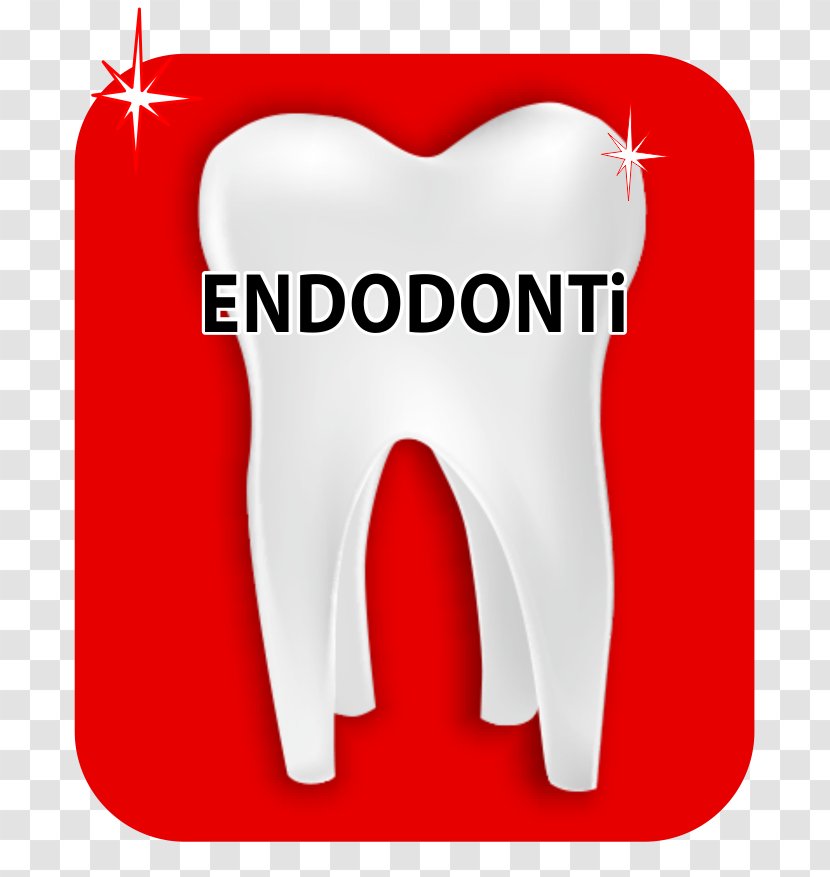 Estetik Ağız Ve Diş Sağlığı Polikliniği Human Tooth Dentistry Aesthetics - Heart - Endodontic Transparent PNG