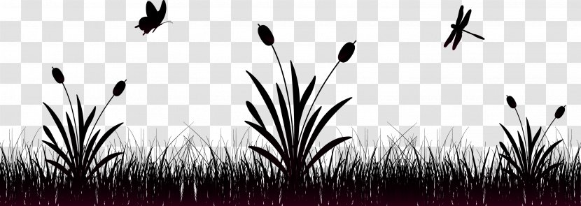 Vector Grass - Monochrome - Grasses Transparent PNG