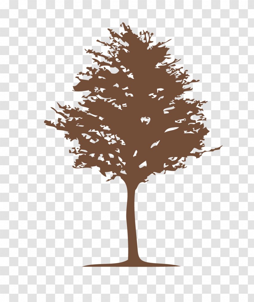 Logo Graphic Design Paper - Wood - Trees Transparent PNG