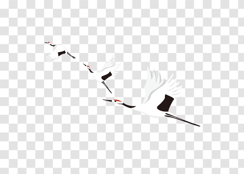 Download Euclidean Vector Icon - Bird - Crane Fly Row Transparent PNG