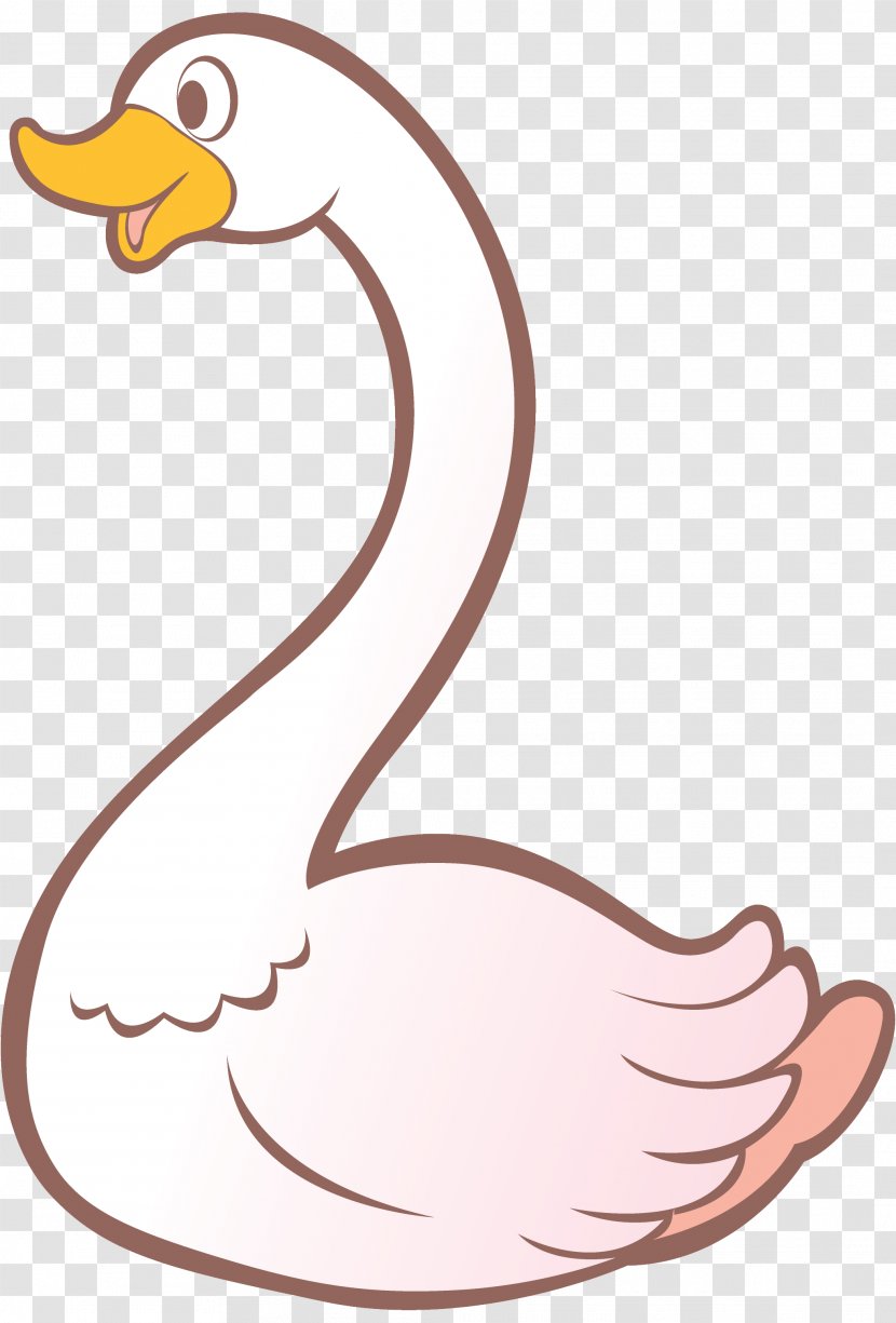 Goose Cygnini Bird Cartoon - Drawing - Swan Transparent PNG