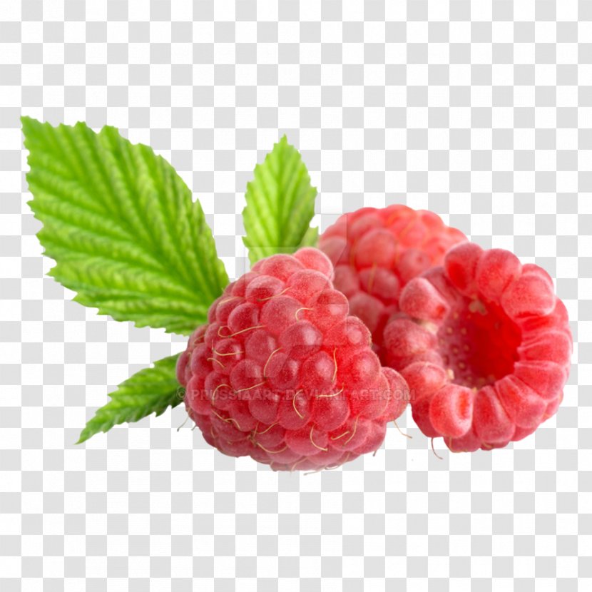 Raspberry Boysenberry Tayberry Loganberry Fototapeta - Berry Transparent PNG