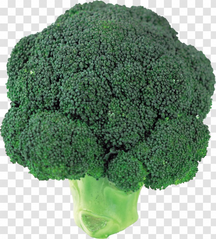 Broccoli Slaw Vegetable - Image Transparent PNG