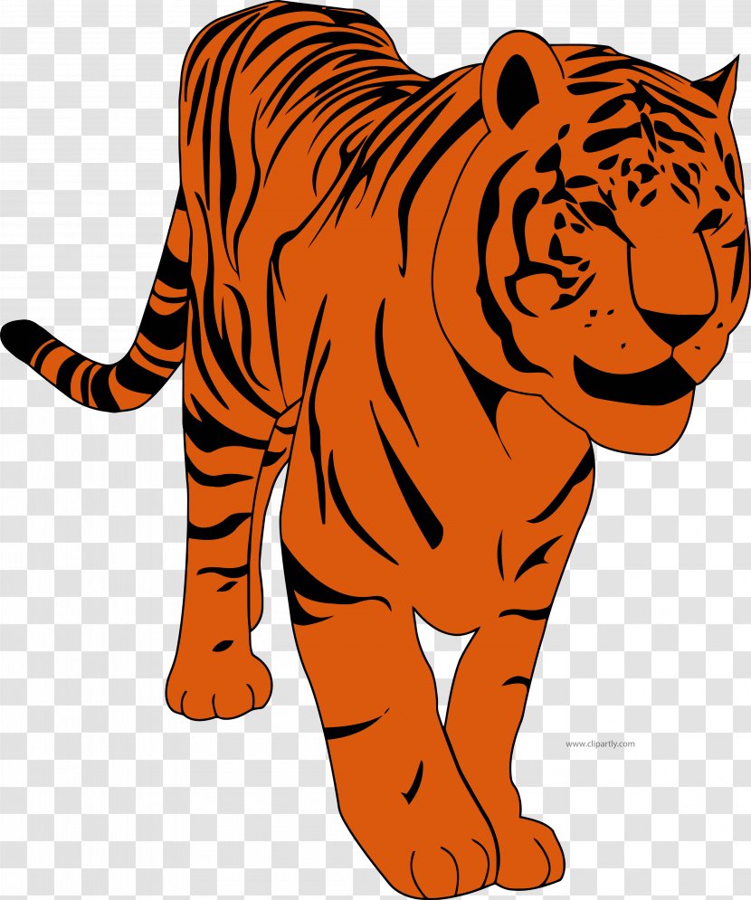 Clip Art Tiger Openclipart Image Illustration - Vertebrate Transparent PNG