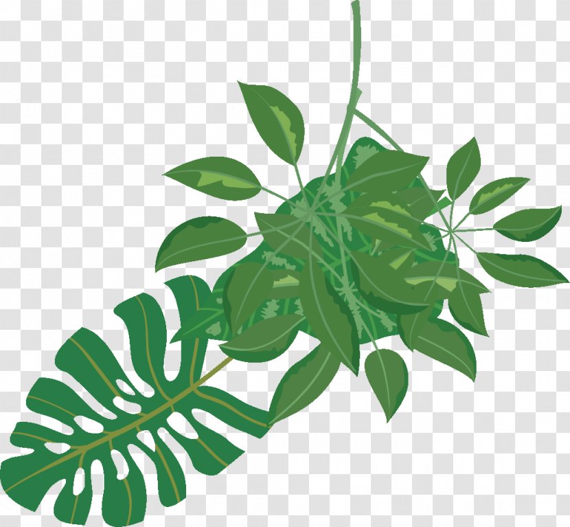 Food Gift Card Herb Leaf - Flora - Plant Theme Transparent PNG