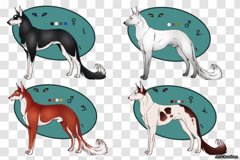 Italian Greyhound Whippet Dog Breed - Carnivoran - Tonkinese Transparent PNG