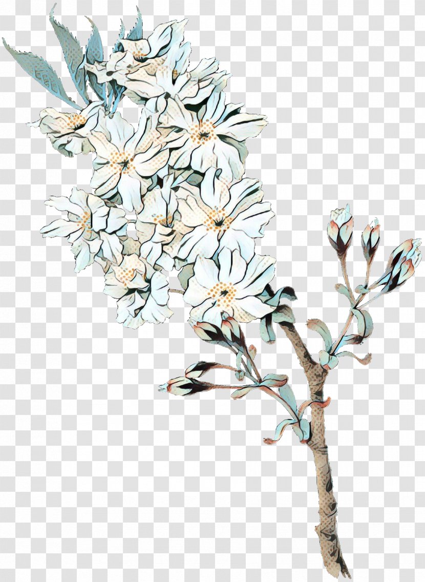 Family Tree Background - Magnolia - Ixia Transparent PNG