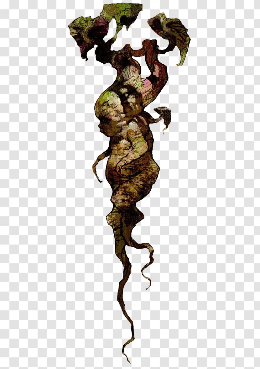 Harry Potter And The Chamber Of Secrets Mandrake Witch Magic - Plant Transparent PNG
