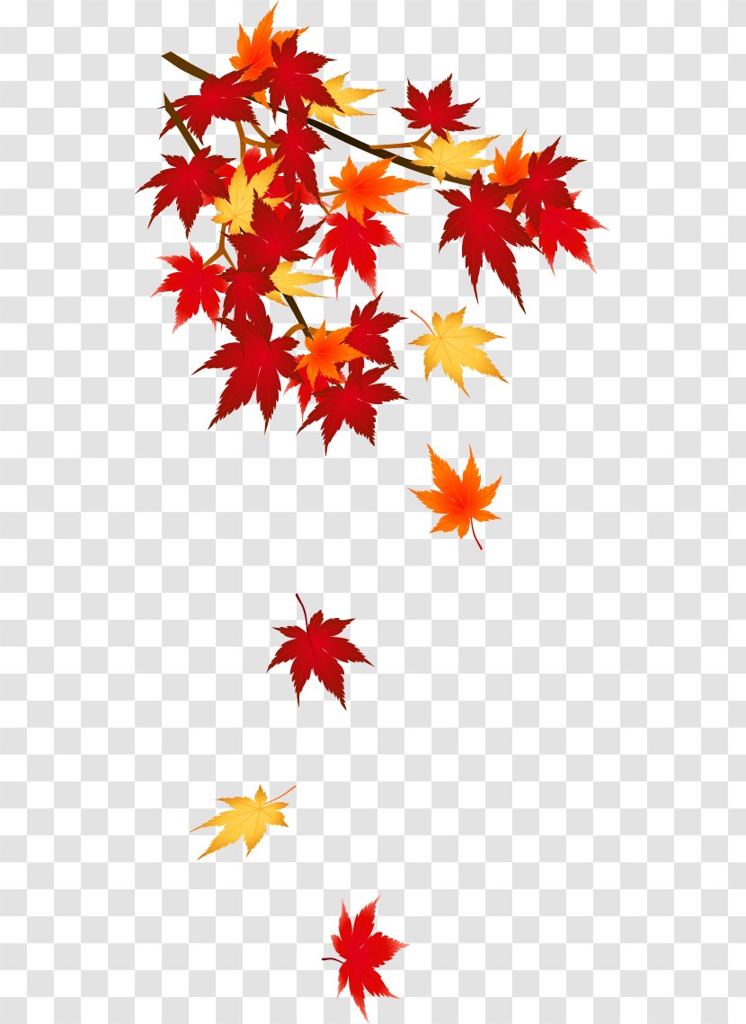 Autumn Leaf Color Clip Art - Tree - Posters Transparent PNG