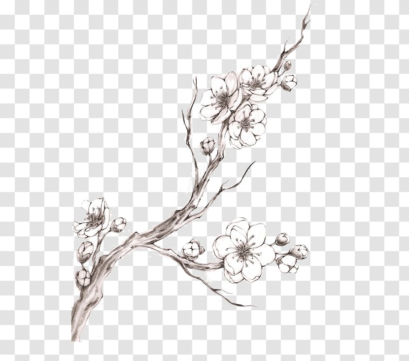 Cherry Blossom Tattoo Drawing - Tree - Watercolor Transparent PNG