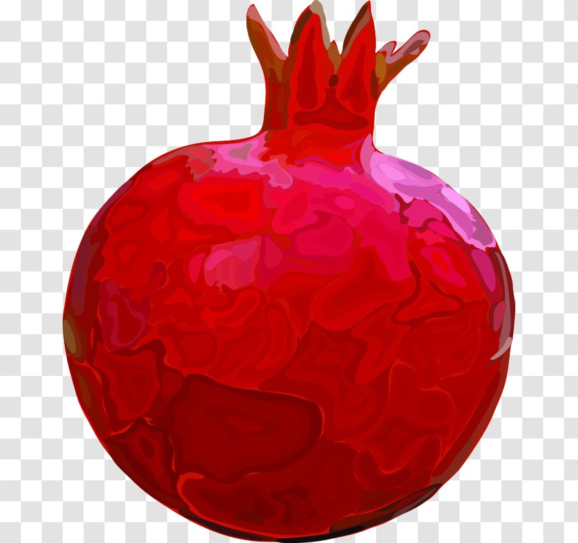 Fruit Red Pomegranate Cartoon - Tree Transparent PNG