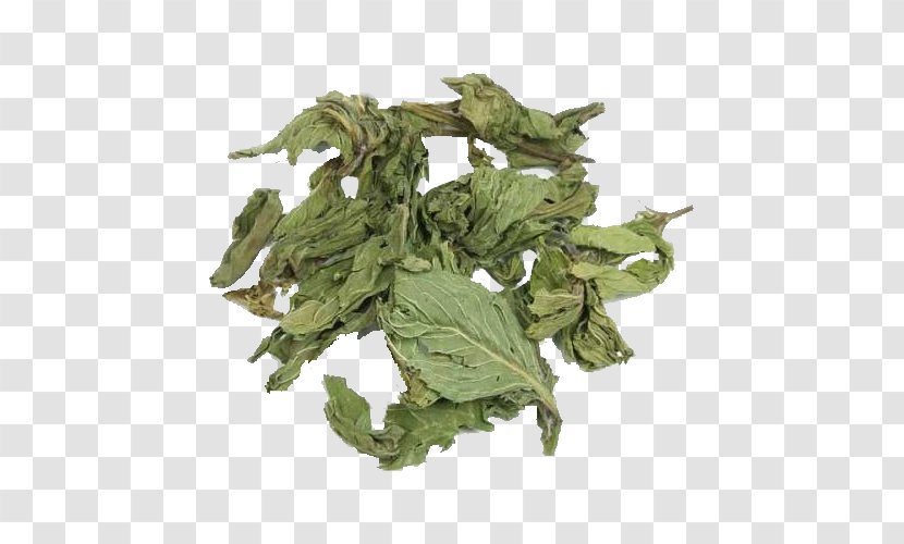 Tea China Mentha Spicata Peppermint Herb - Bancha - Autumn Leaves Transparent PNG