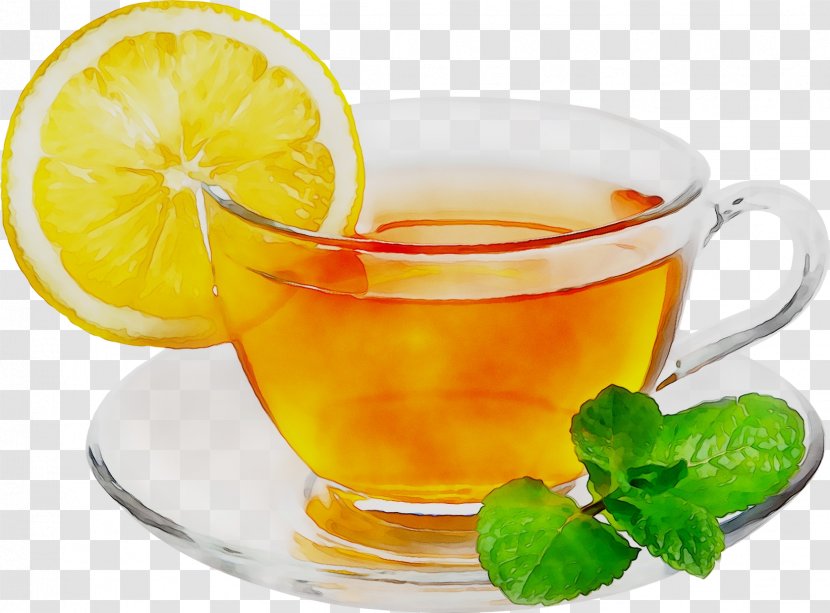 Tea Chai Villa Masala Breakfast Cafe - Orange Drink Transparent PNG
