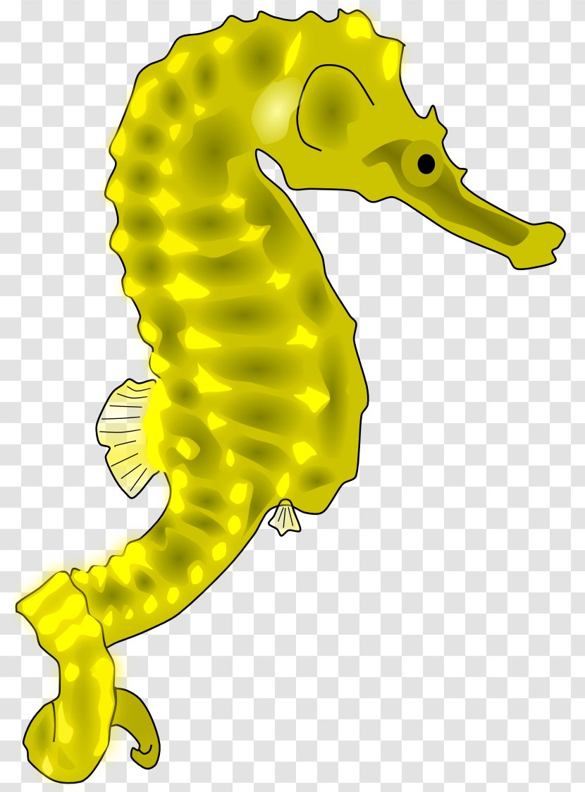 Seahorse Line Art Public Domain Clip - Fish Transparent PNG