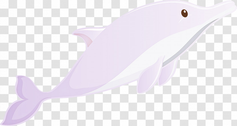 Cetacea Dolphin Pink Fin Fish Transparent PNG