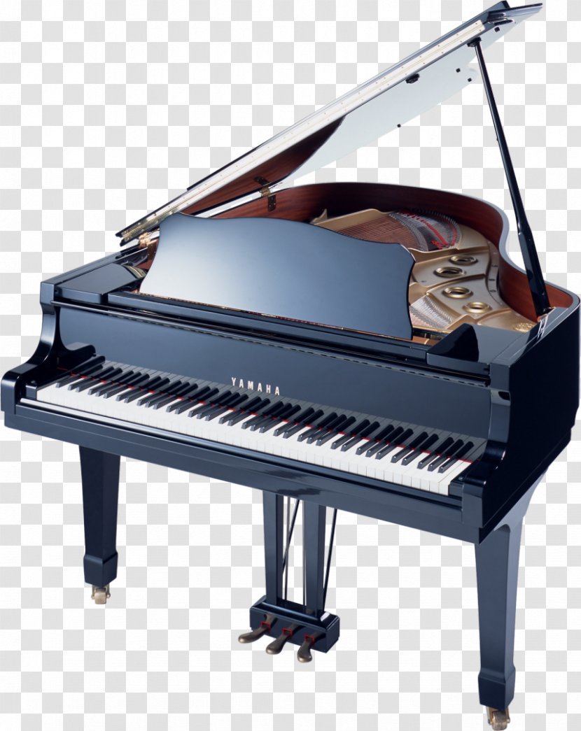 Grand Piano Musical Instruments - Silhouette Transparent PNG