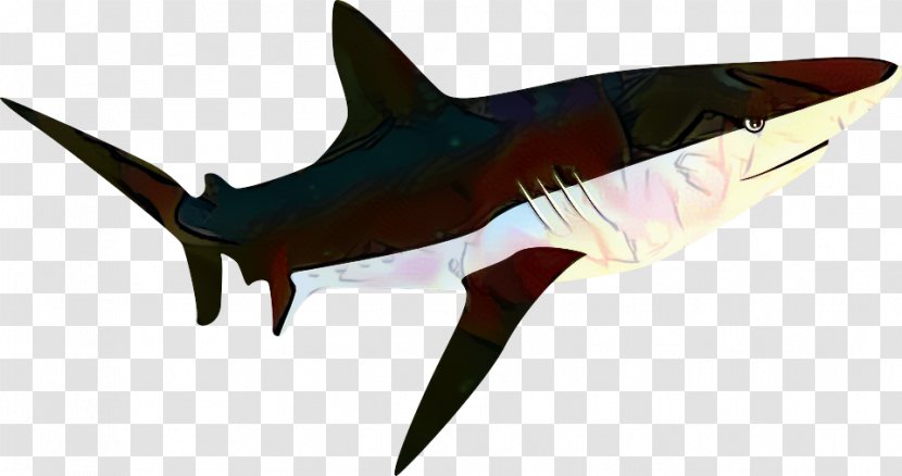 Great White Shark Background - Requiem - Animal Figure Carcharhiniformes Transparent PNG