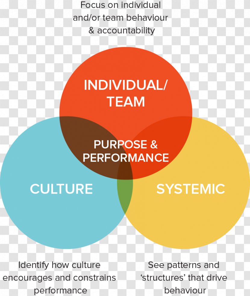 Organizational Culture Logo Leadership Organization Development - Lens Drawing Transparent PNG