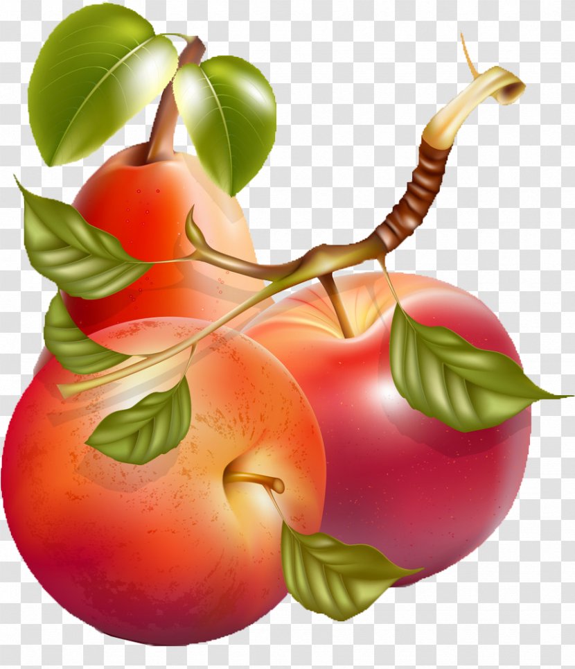 Apple Pear Illustration - Fruit - Creative Fruits Hand-painted Cartoon Fruit,Painted Transparent PNG