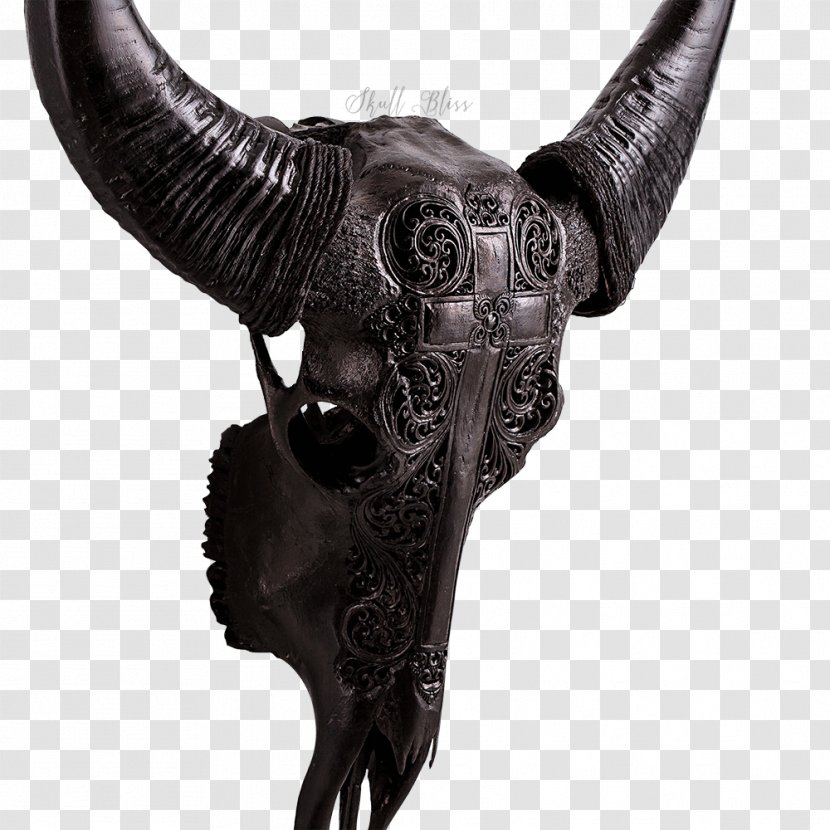Horn Cow's Skull: Red, White, And Blue Animal Skulls Bone - Buffalo Skull Transparent PNG
