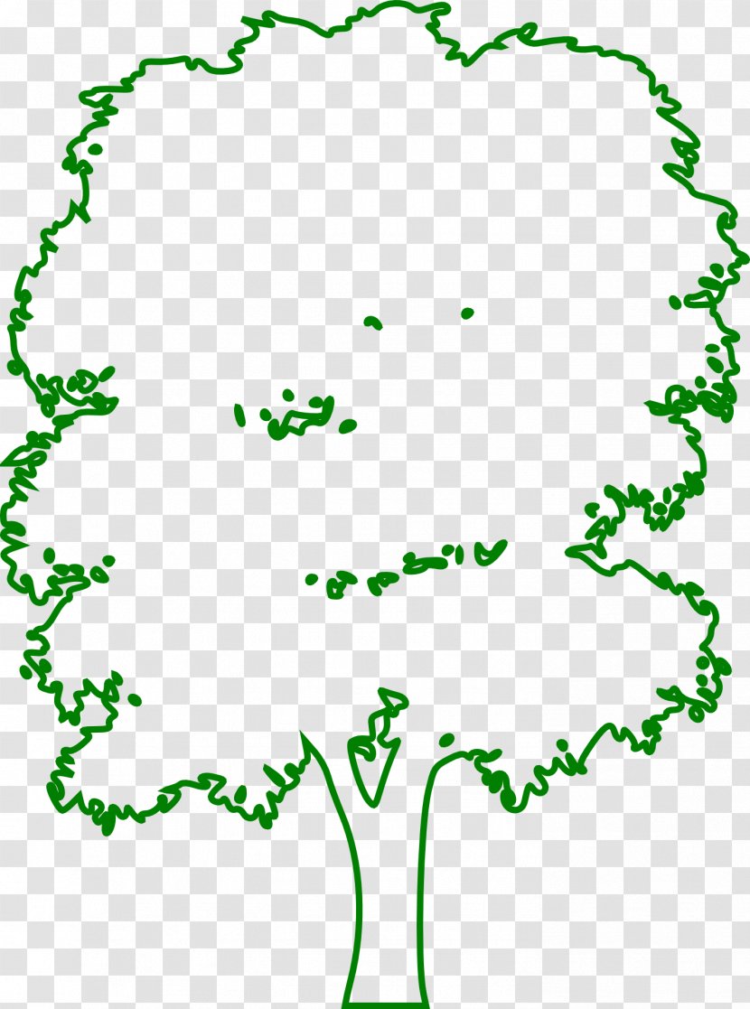 Branch Tree Forest Green - Woods Transparent PNG